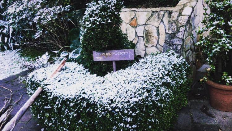 Agriturismo Terre Delle Monache Pontecagnano Εξωτερικό φωτογραφία