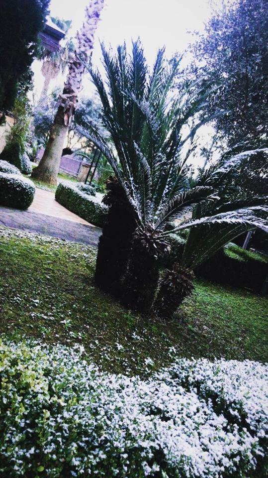Agriturismo Terre Delle Monache Pontecagnano Εξωτερικό φωτογραφία